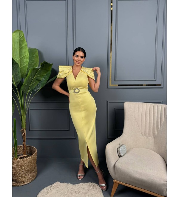213832 SARI ABİYE